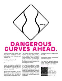 Dangerous Curves Ahead_1
