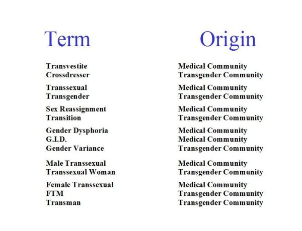 Terms and Origins (1)